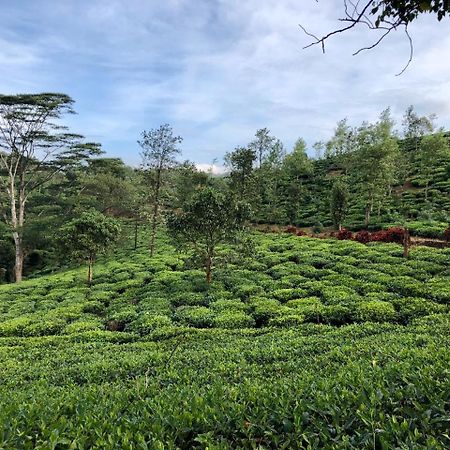 Hotel Parisons Plantation Experiences By Abad Mananthavady Exteriér fotografie