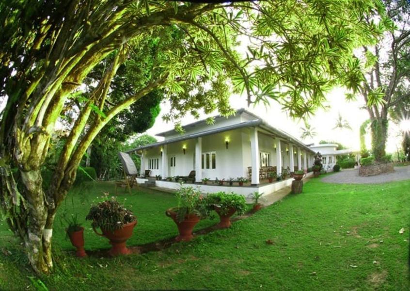 Hotel Parisons Plantation Experiences By Abad Mananthavady Exteriér fotografie