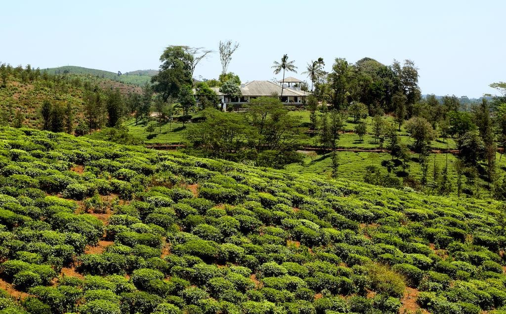 Hotel Parisons Plantation Experiences By Abad Mananthavady Exteriér fotografie
