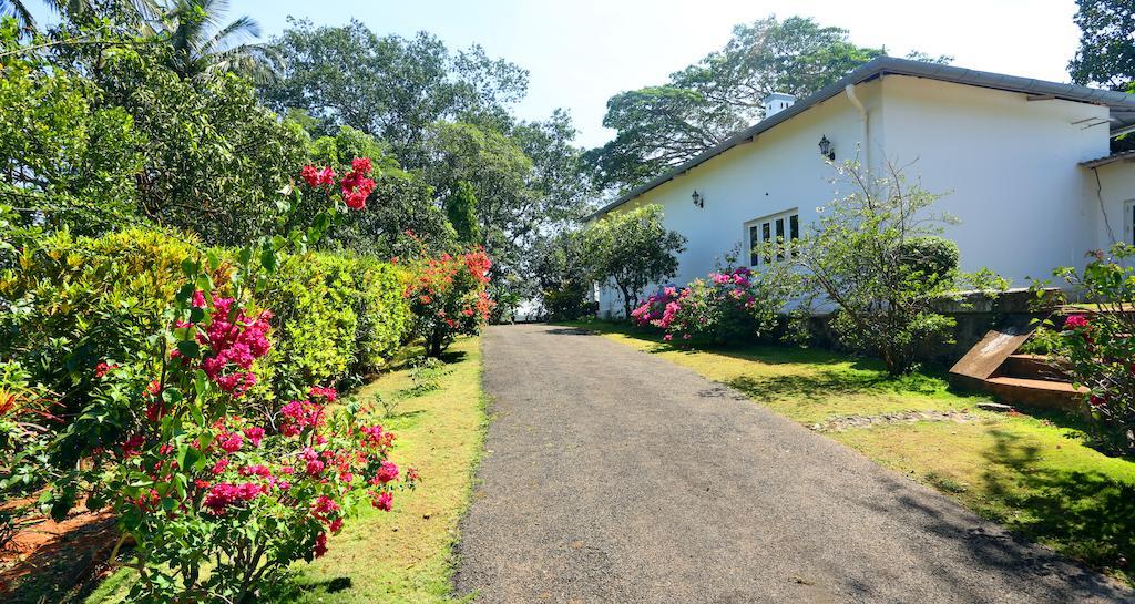 Hotel Parisons Plantation Experiences By Abad Mananthavady Exteriér fotografie